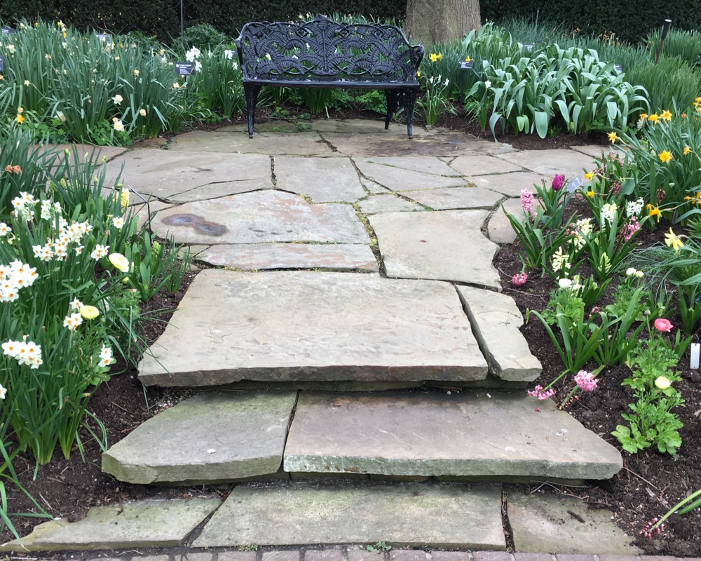 About A Path of Beauty
